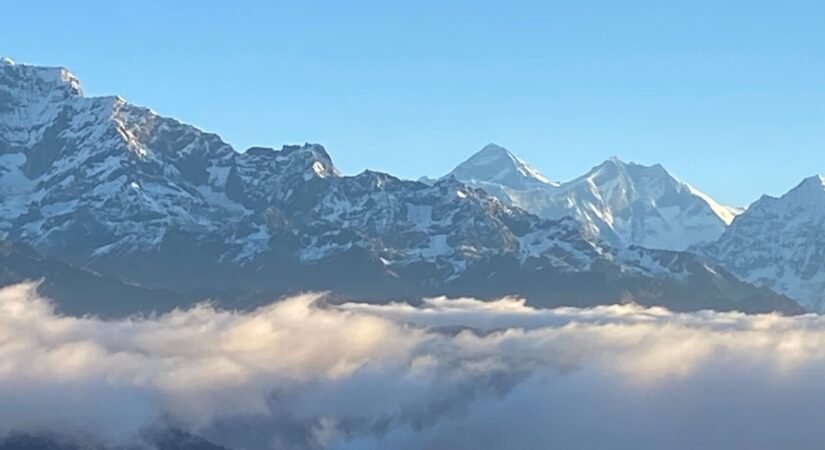 WhatsApp Image 2026-05-31 at 09.16.17 (1)